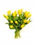 14 žlutých tulipánů (čtrnáct žlutých tulipánů). Kytice z 14 žlutých tulipánů.