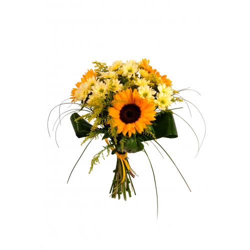 Pugét slunečnic a chrysantém
