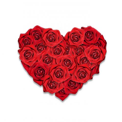 Růže v srdci