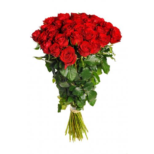 42 rudých růží (čtyřicet dva rudých růží). Kytice ze čtyřiceti dvou rudých růží.