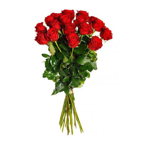 24 červených růží (Dvacet čtyři červených růží). Kytice dvaceti čtyř červených růží.